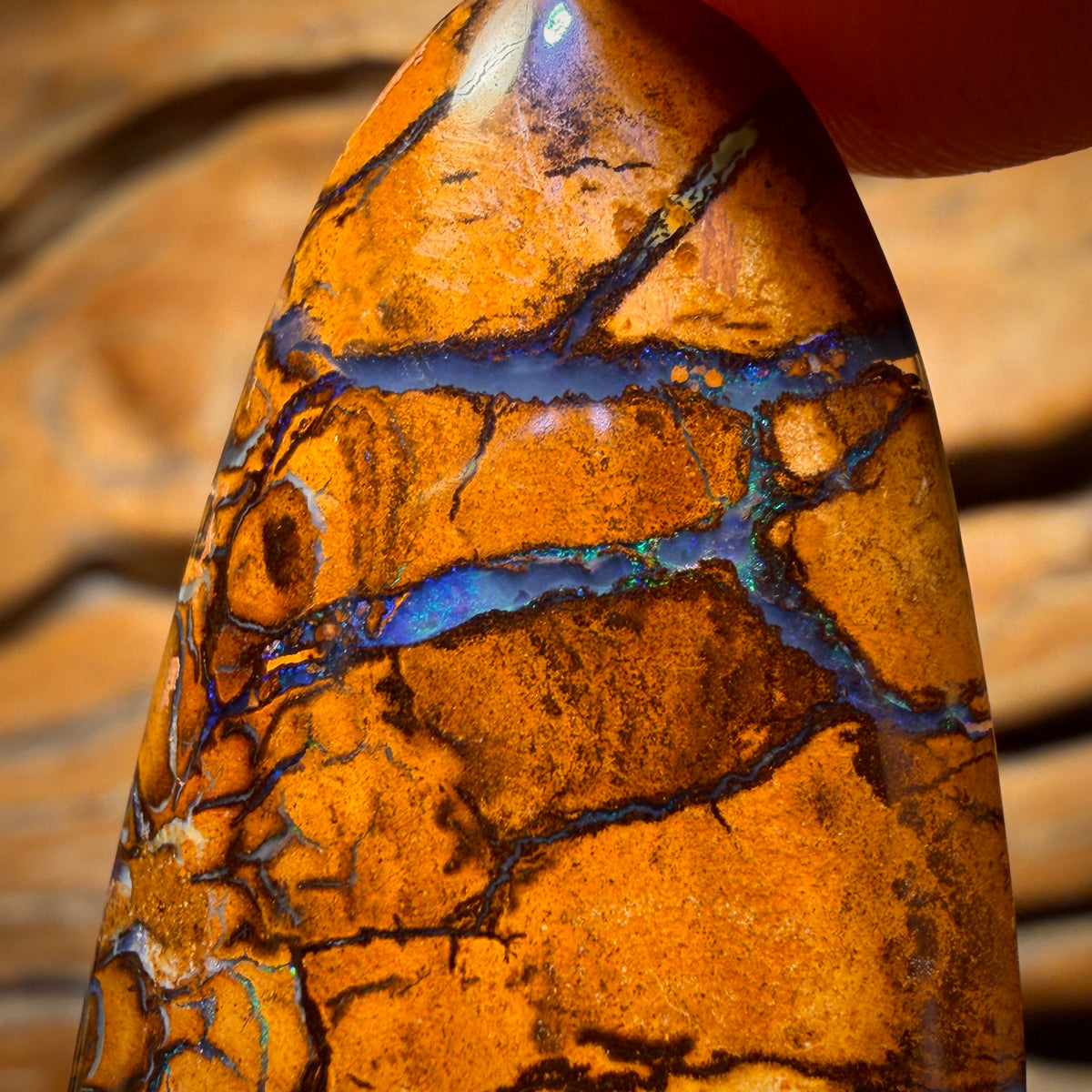 39.5cts - Tribal Queensland Boulder Opal from Yowah