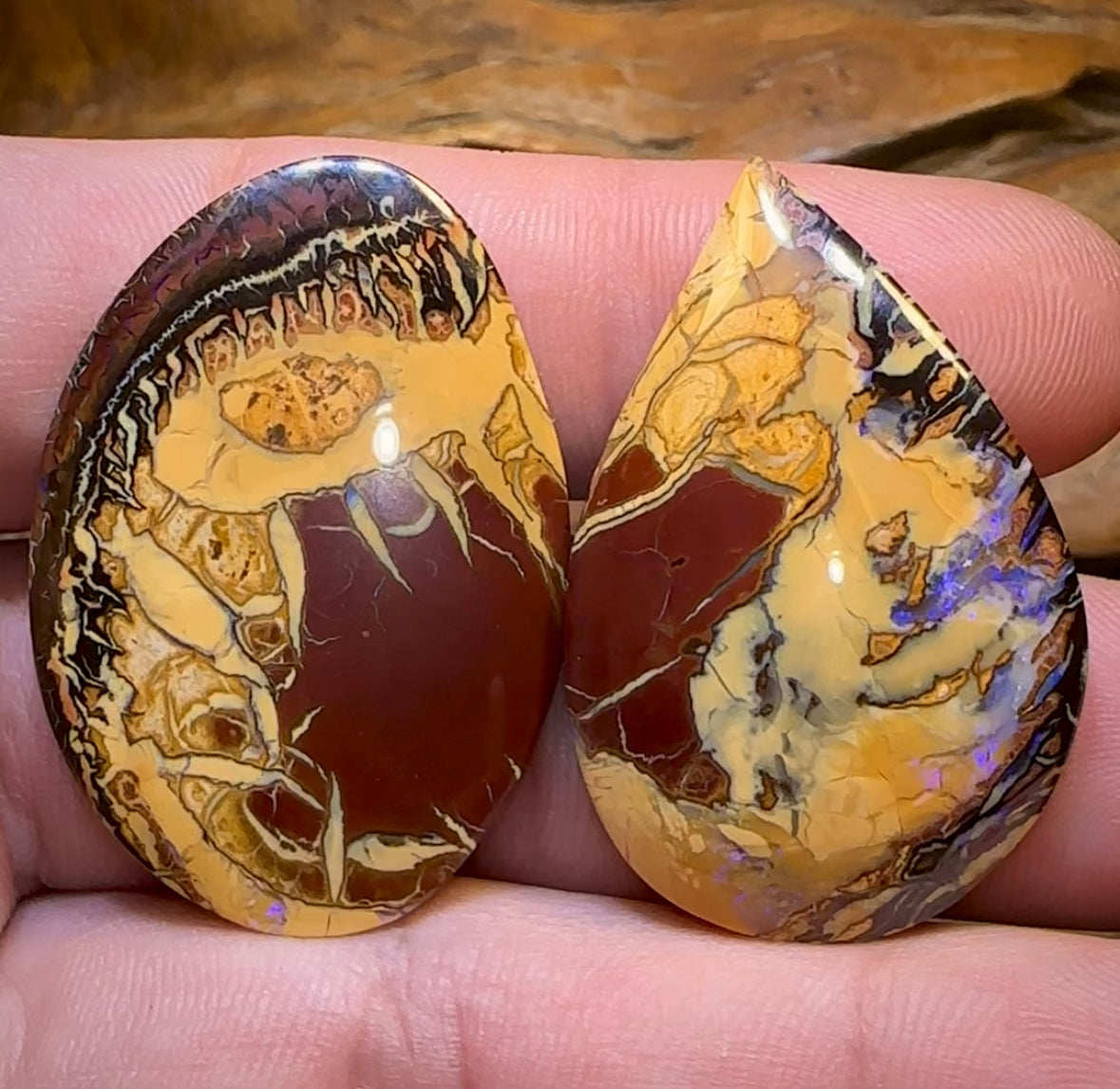 62.1cts - Yowah Nut Opal Pair. Best Double Sided  TRIBAL PATTERN - Opal Whisperers