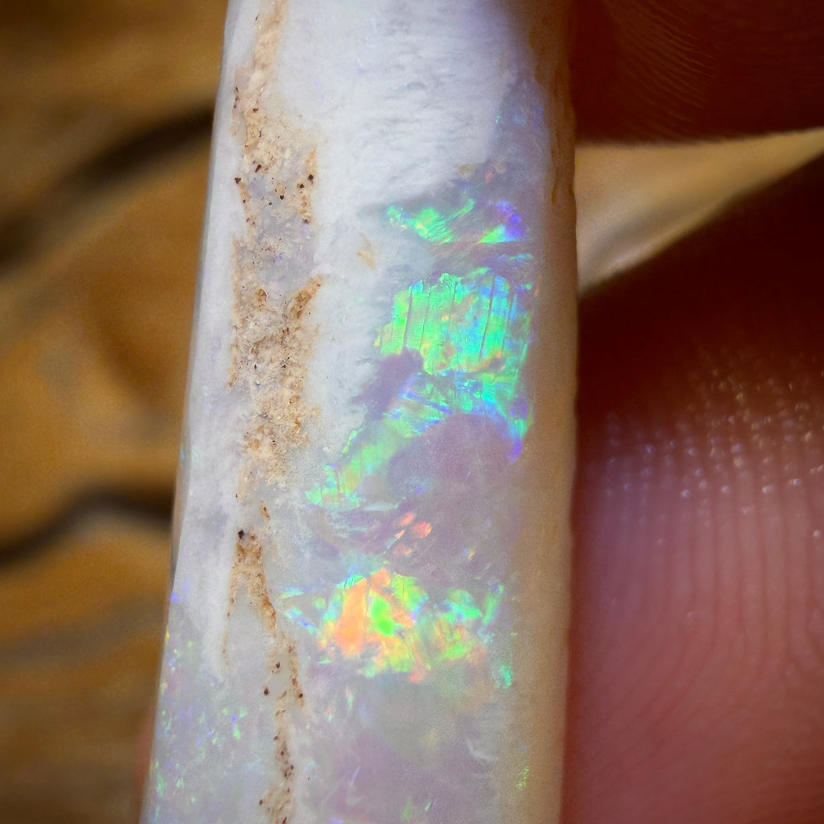 14.9cts - Opalised Belemnite Geological Specimen from South Australia
