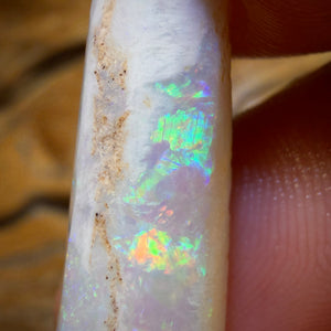 14.9cts - Opalised Belemnite Geological Specimen from South Australia