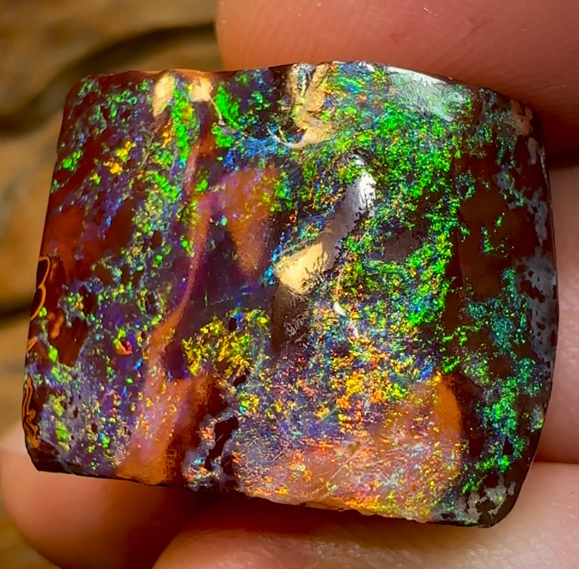 66.2cts - Queensland Boulder Opal from Yowah . Celebrity Stone - Opal Whisperers