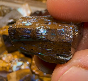 198g - Bulk Queensland Boulder Opal Rough Pieces - Opal Whisperers