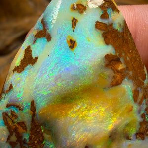 185.8cts - TOP Vegetation Fossil Replacement Boulder Opal Rub. Double Sided!