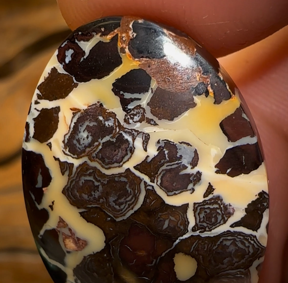 39.3cts - Queensland Boulder Opal Half Price Tribal BARGAIN