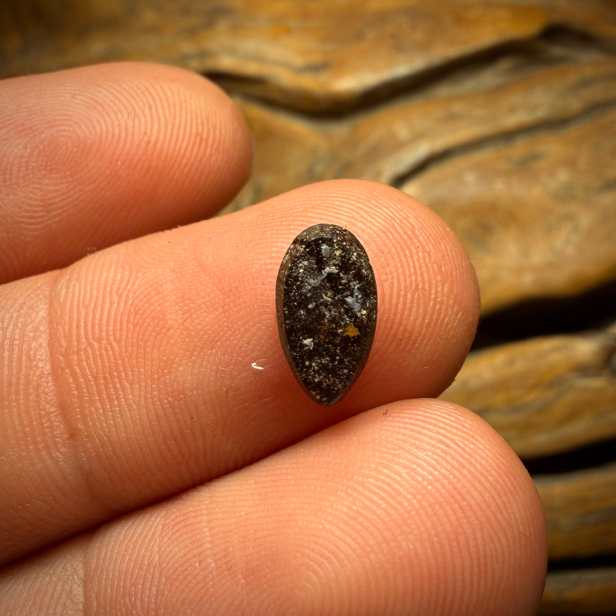 1.2cts - Australian Boulder Opal Doublet