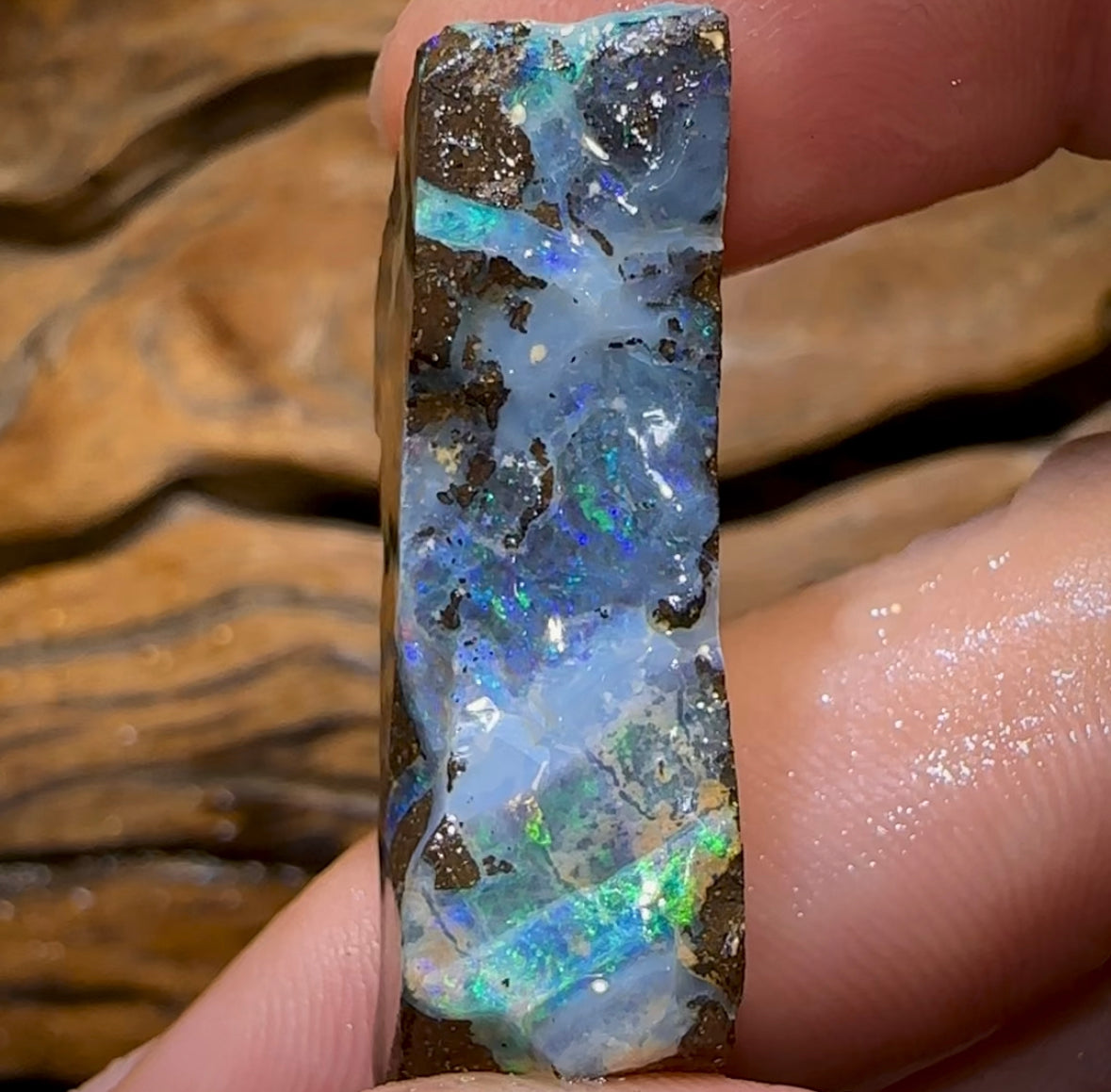 49.5cts - Australian Boulder Opal Rough Preform. Natural Split - Opal Whisperers