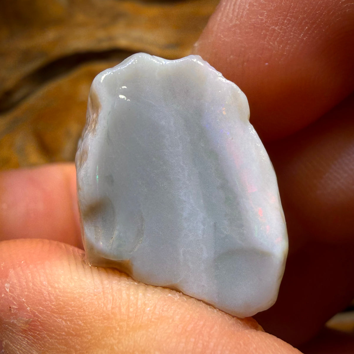 145.3cts - 3x Lightning Ridge Opal Rough Parcel