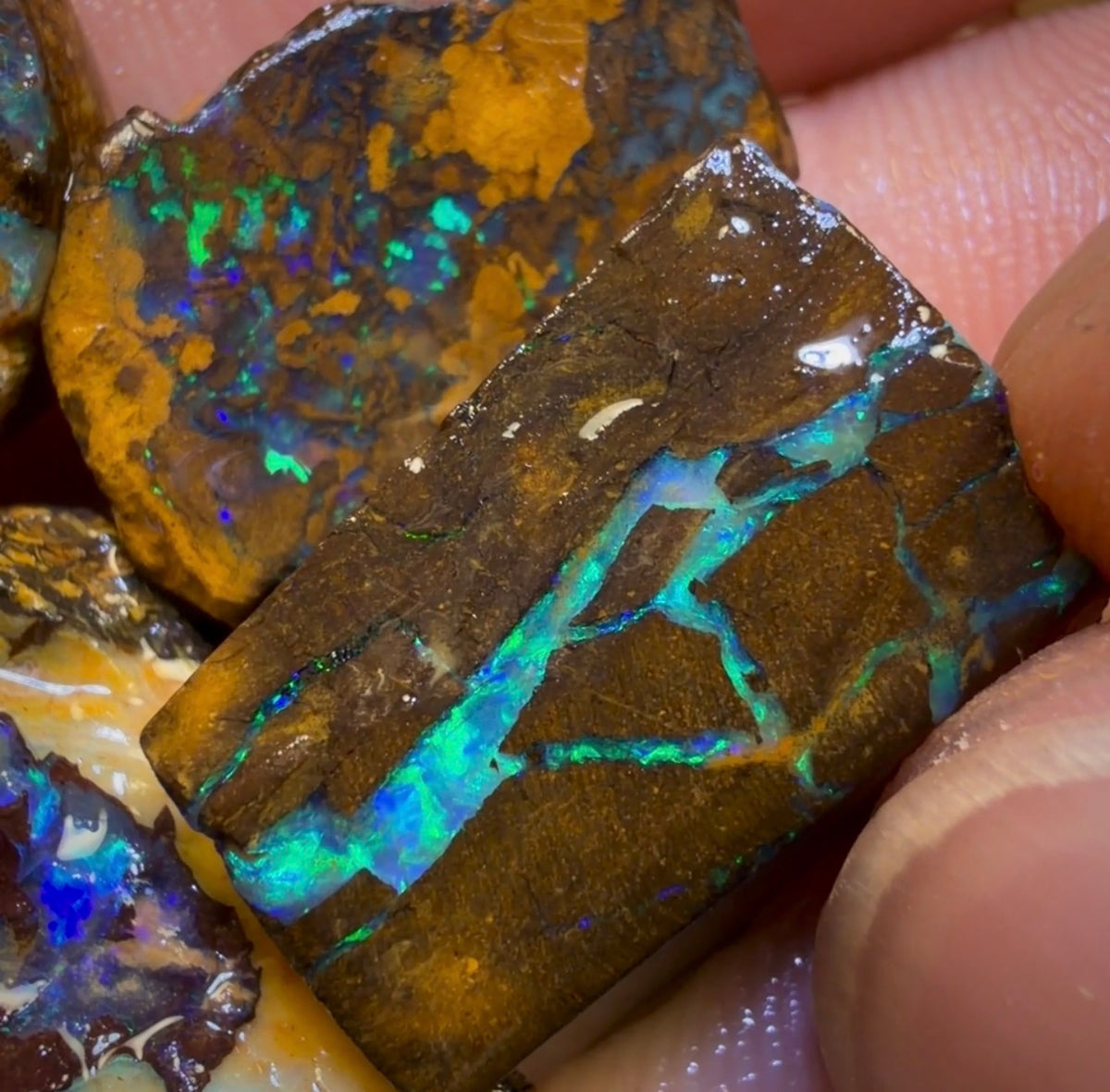 🔒59.1cts - 4x Yowah Nut Rough Opal Parcel. Australian Boulder Opal