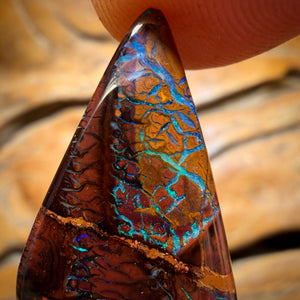 14.2cts - Tribal Koroit Nut Opal. Australian Opal