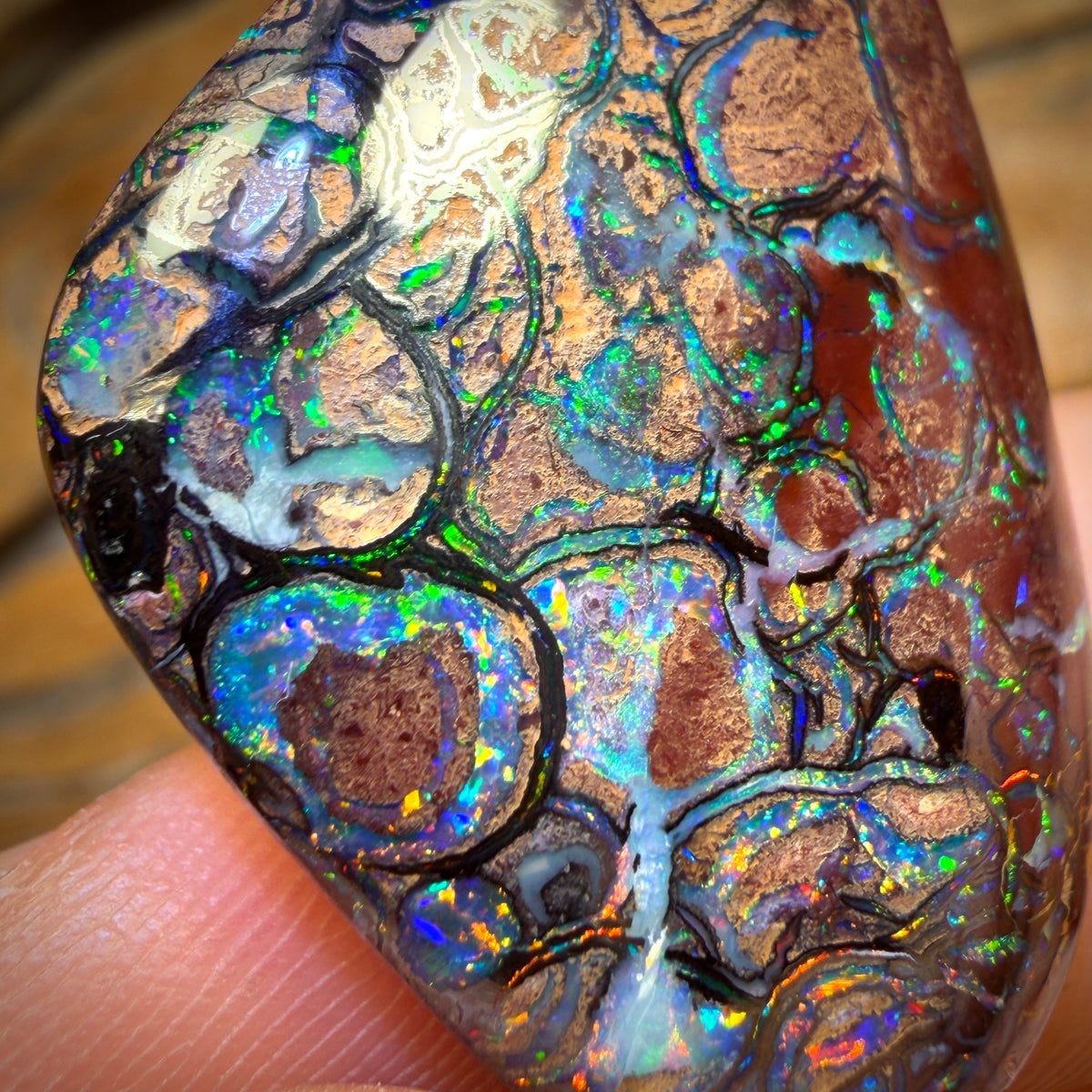 Banger Card! 55.9cts - TOP Tribal Australian Boulder Opal from Yowah