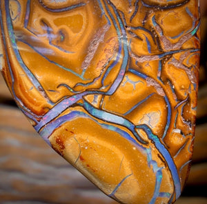 42 x 24mm - Drilled Tribal Queensland Boulder Opal Necklace