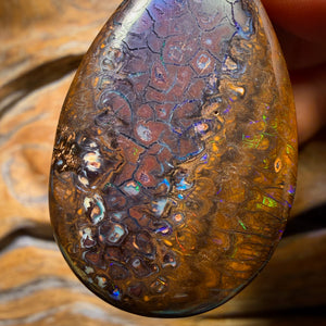 Wildcard! 39 x 25mm - Drilled Tribal Queensland Boulder Opal Necklace