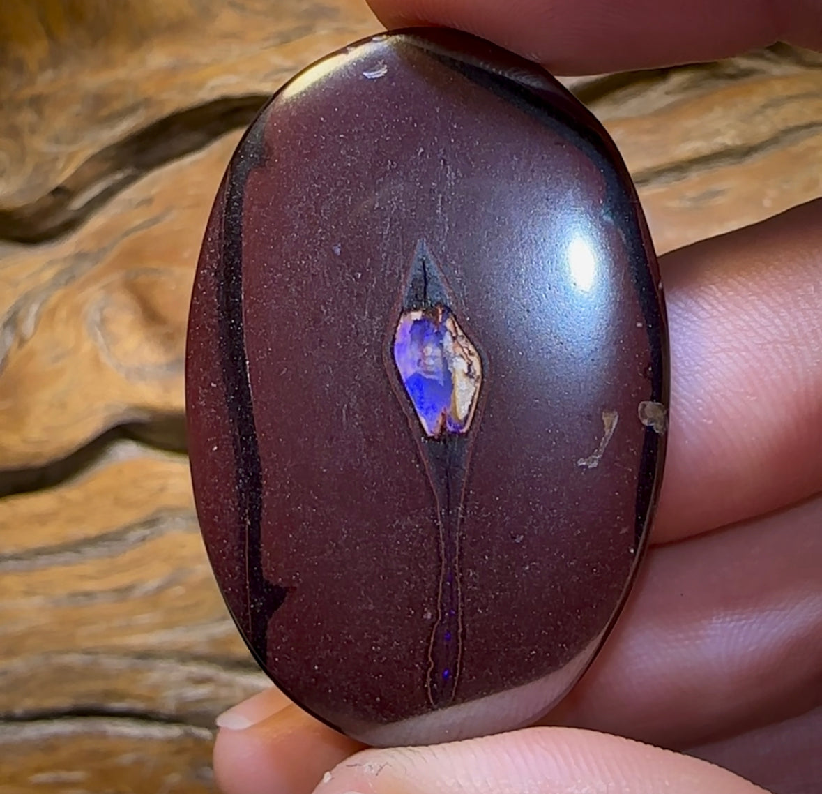 73.1cts - “Sweet Kernel Center” Yowah Nut Opal. Double Sided! - Opal Whisperers