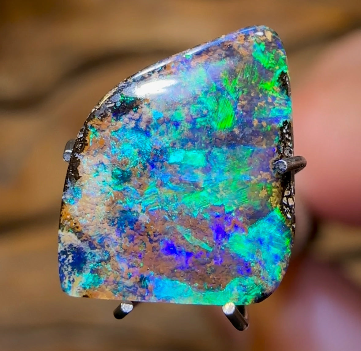 2.5cts - Australian Boulder Opal from Winton. Rockpool Pattern - Opal Whisperers