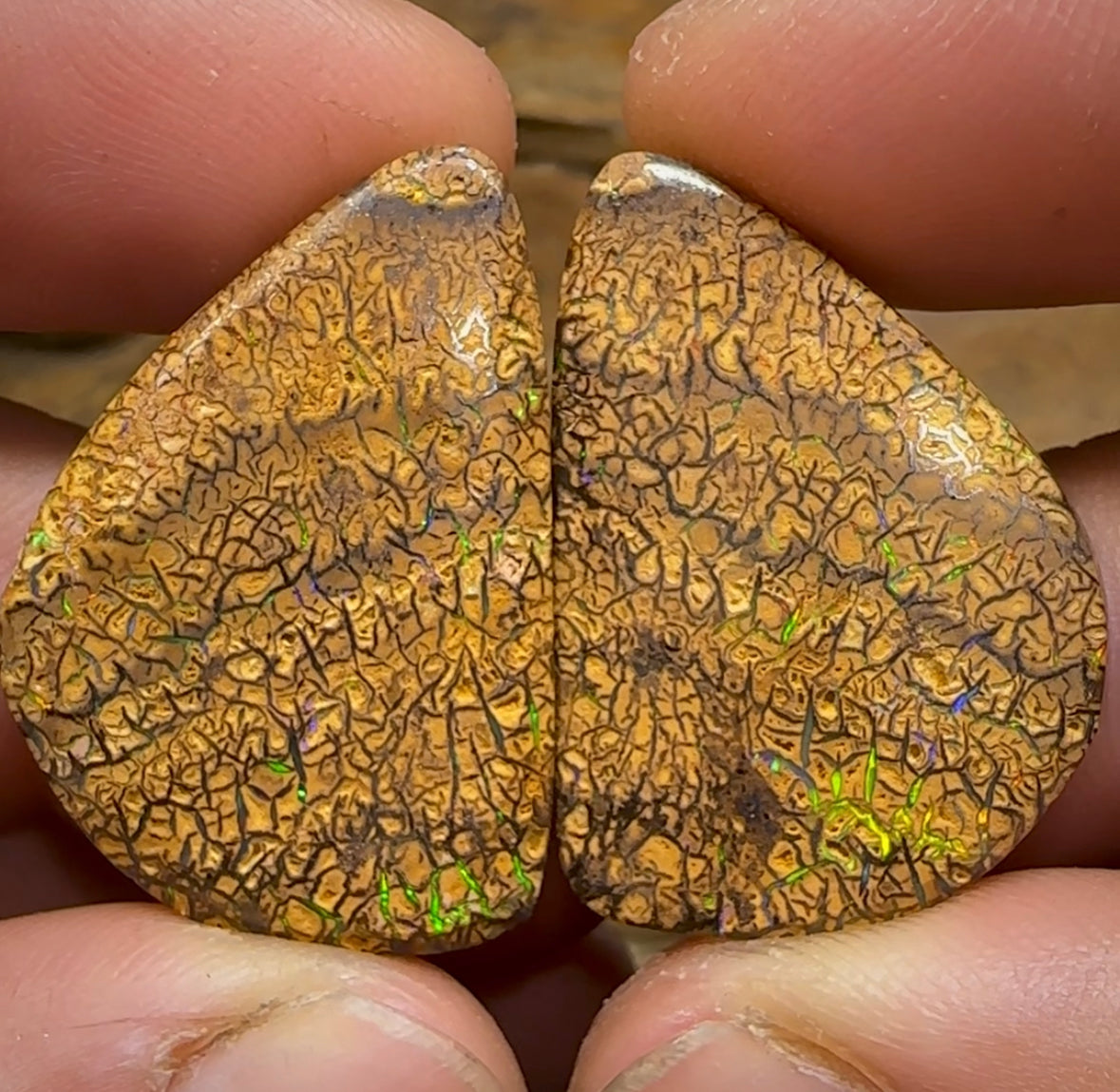 78.5cts - Intricate Tribal Pattern Yowah Nut Opal Pair - Opal Whisperers