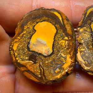 173cts - RARE Yowah Nut Partial Crystal Centre Rough Specimen Pair