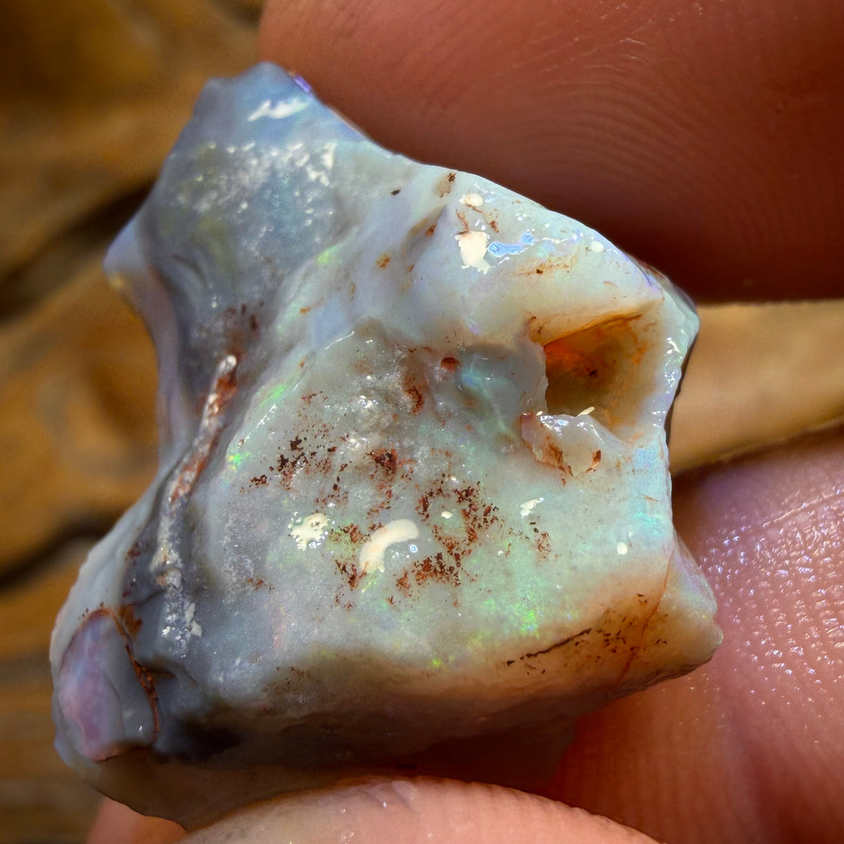 23.1cts - Lightning Ridge Dark Opal Rough Piece