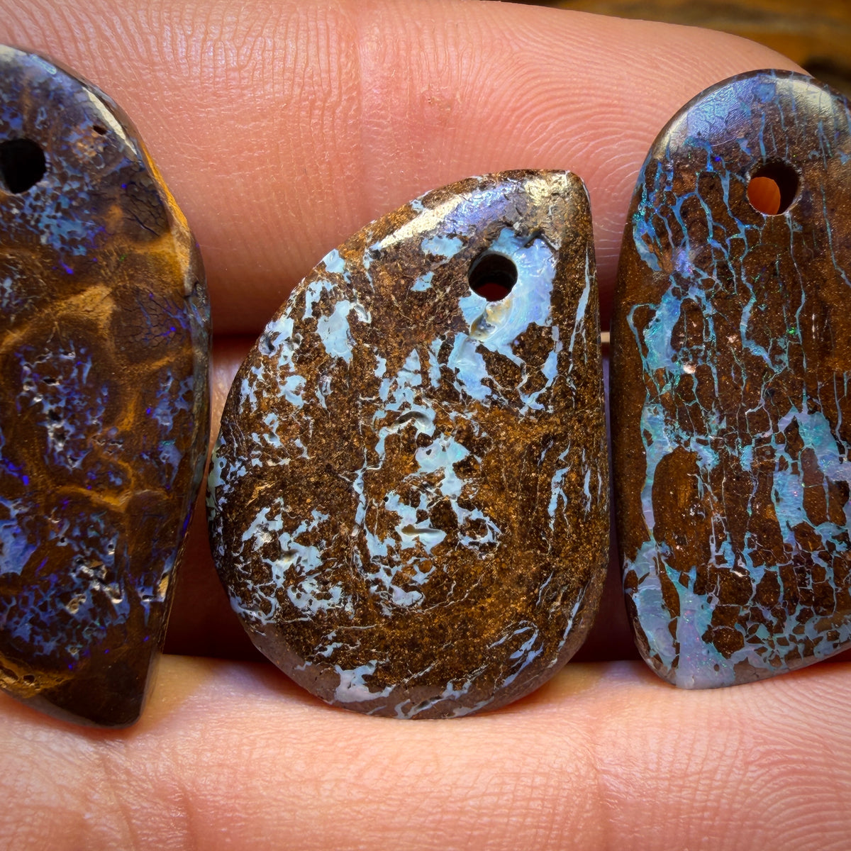 69.1cts - 3x Drilled Queensland Boulder Opals. BARGAIN Wholesale Parcel