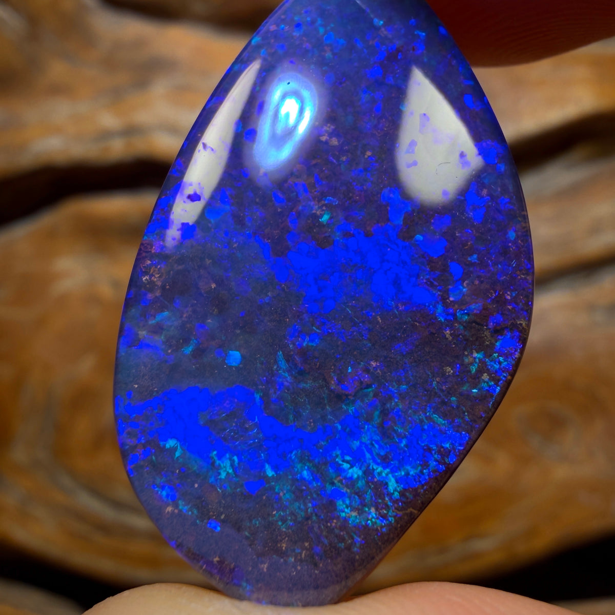 “Set in Stone” - Private Collector Acquisition - “Hey True Blue” 32.2cts - Top Australian Boulder Seam Opal
