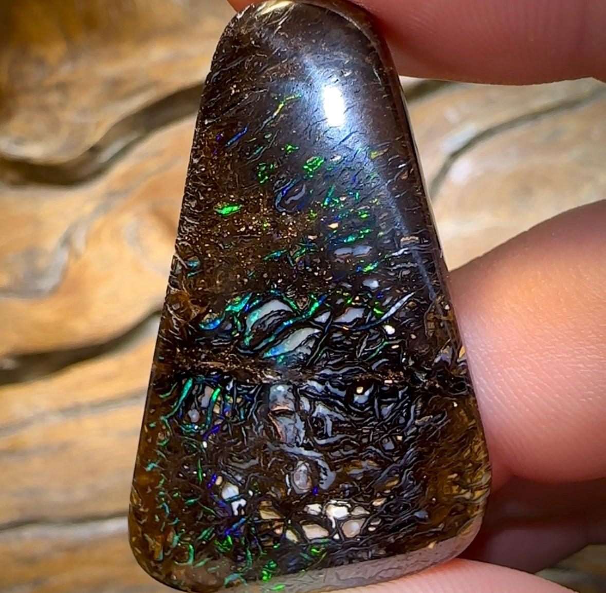 74.2cts - Black Tribal Yowah Nut Opal - Opal Whisperers