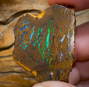 90cts - Australian Boulder Opal Rub