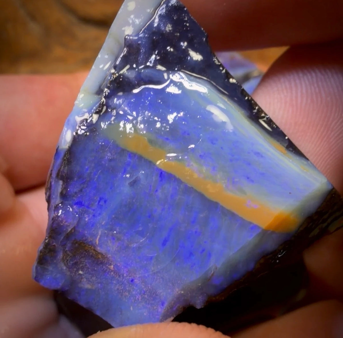 🔒 I’ve Got the Blues Collection 175.3cts - 3x Australian Boulder Seam Opal Rough Parcel