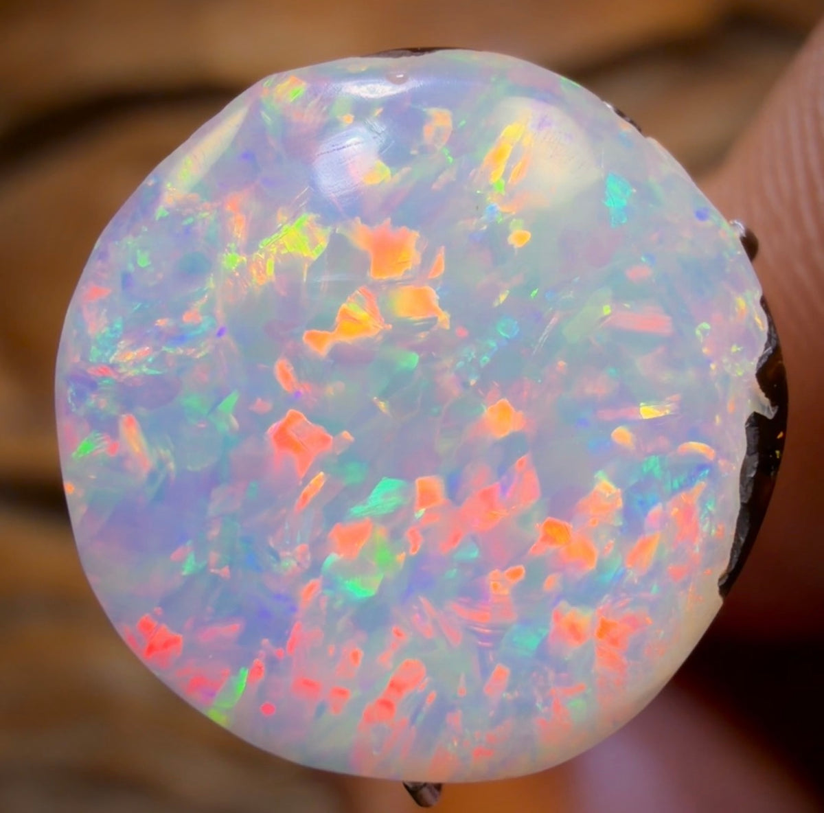 7.85cts - GEM Yowah Nut Crystal Centre Opal