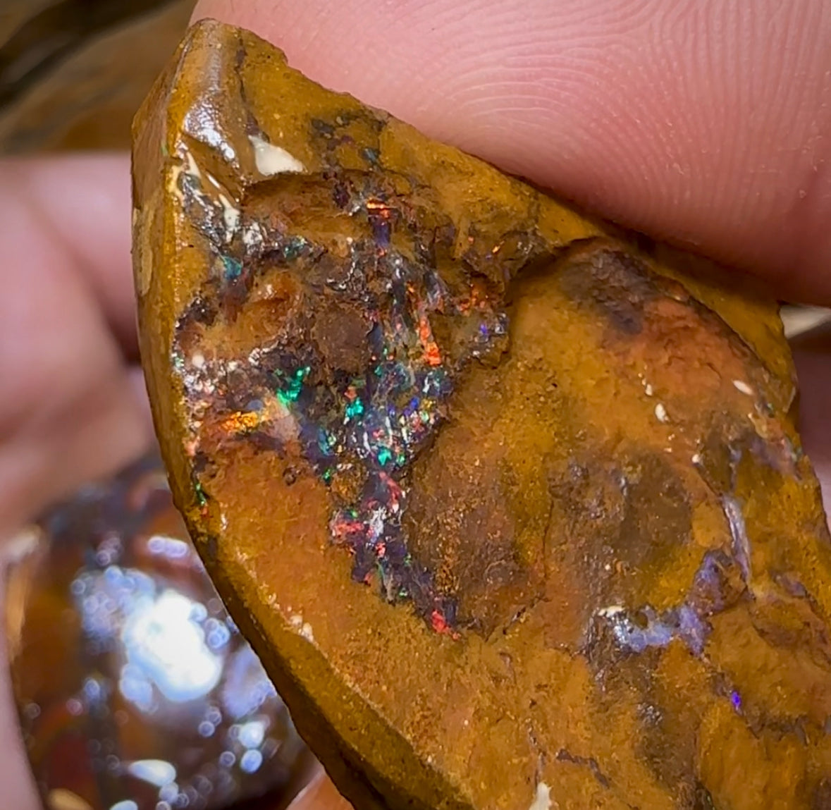 209.8cts - 3x Yowah Nut Rough Pieces. Australian Boulder Opal - Opal Whisperers