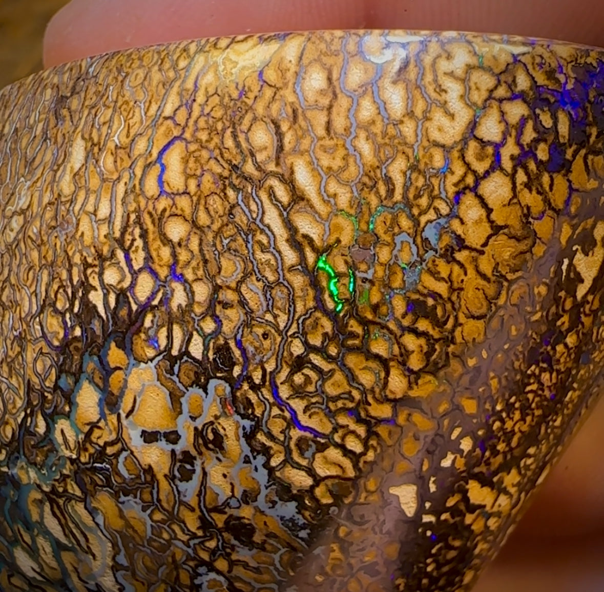 574.5cts - Large Tan Tribal Queensland Boulder Opal. Polished Specimen