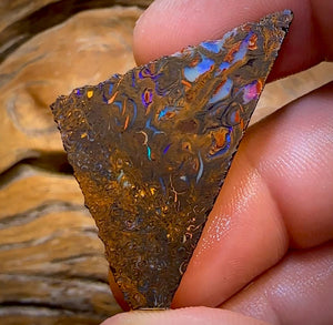 55,1 ct – Rohstück aus einem Boulderopal der Stammesbevölkerung von Queensland