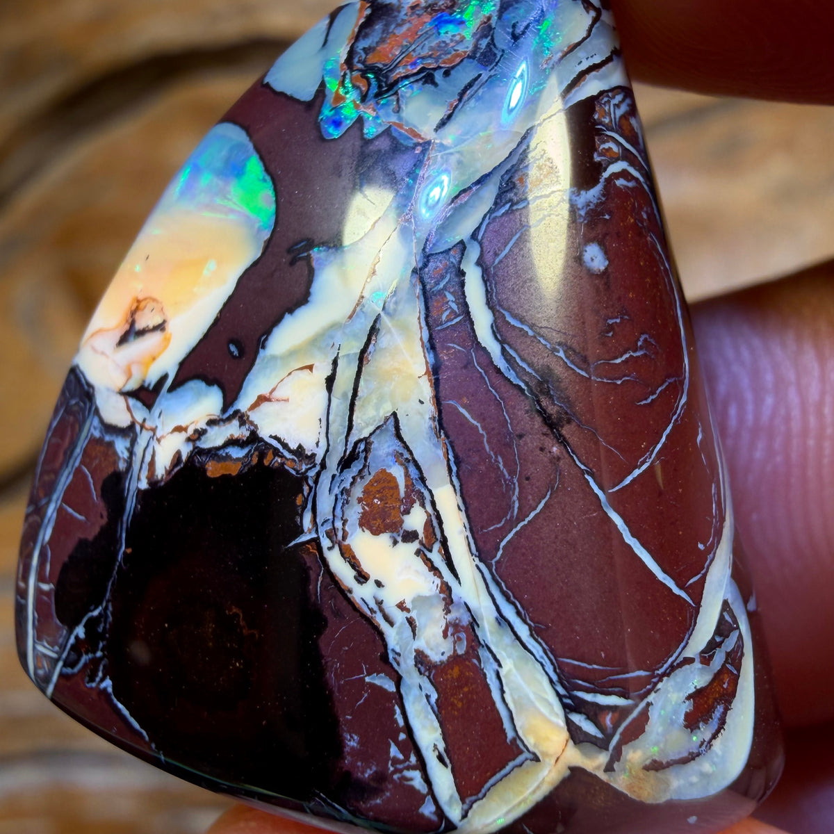 49.3cts - Tribal Queensland Boulder Opal from Yowah