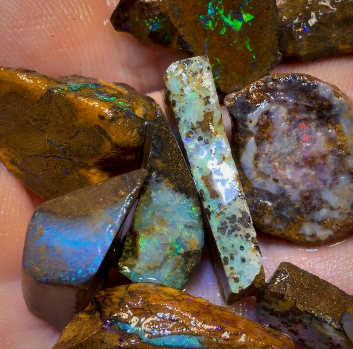 🔒107.8cts - 11x Australian Boulder Opal Rough Parcel