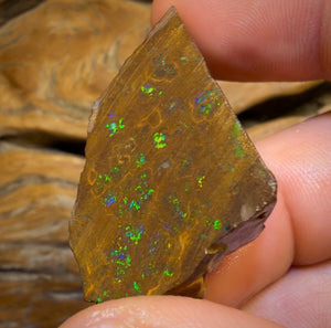 Wildcard! 76.7cts - Australian Boulder Opal Rough Piece. Bubble Band