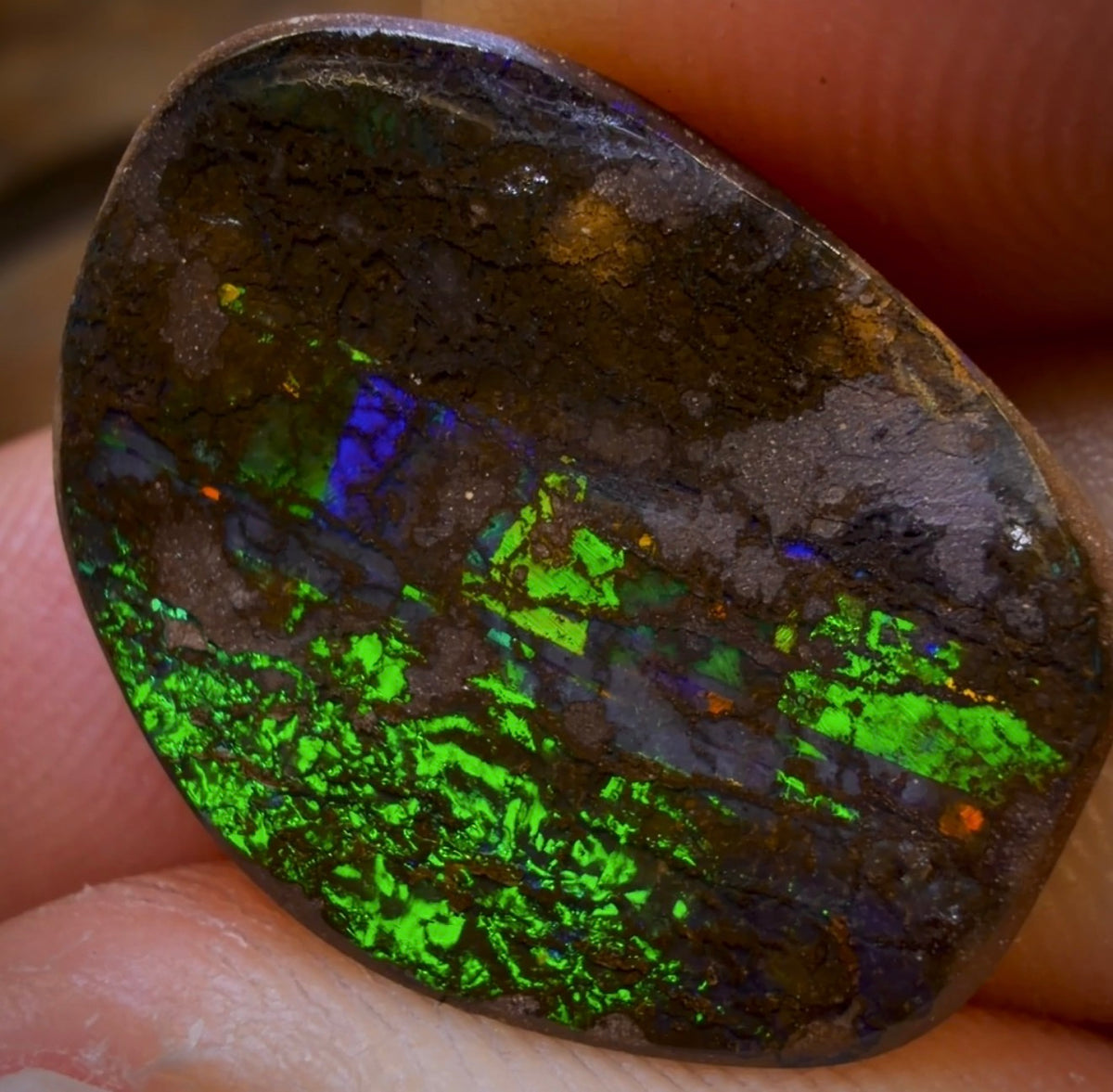 12.2cts - Queensland Boulder Seam Opal