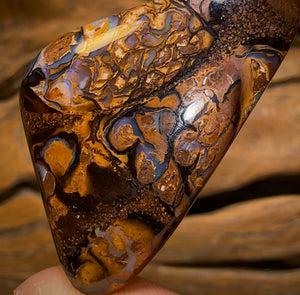 42.3cts - Queensland Boulder Opal. Yowah Tribal