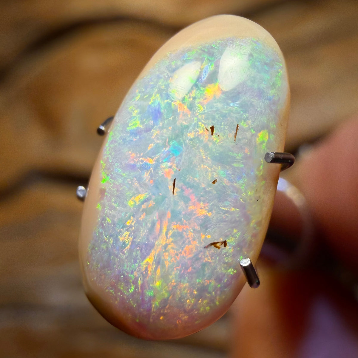 3.6cts - WILD CARD! Australian Boulder Opal from Yowah