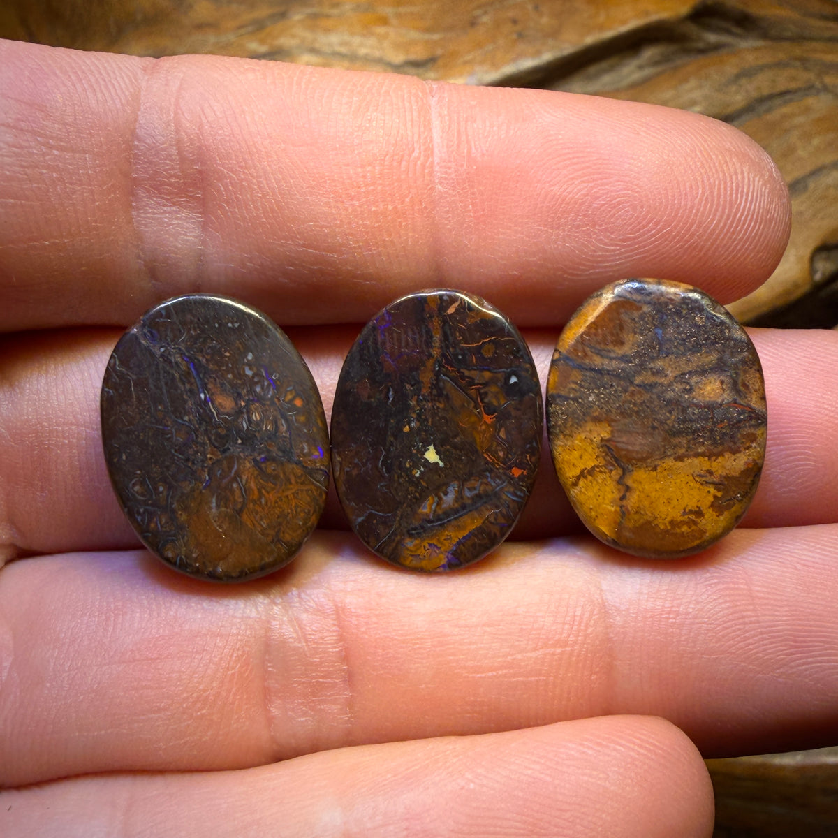 54.2cts - 3x Australian Tribal Boulder Opal’s. Wholesale Parcel