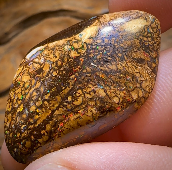 53,6 cts - Opale boulder tribale australienne de Yowah