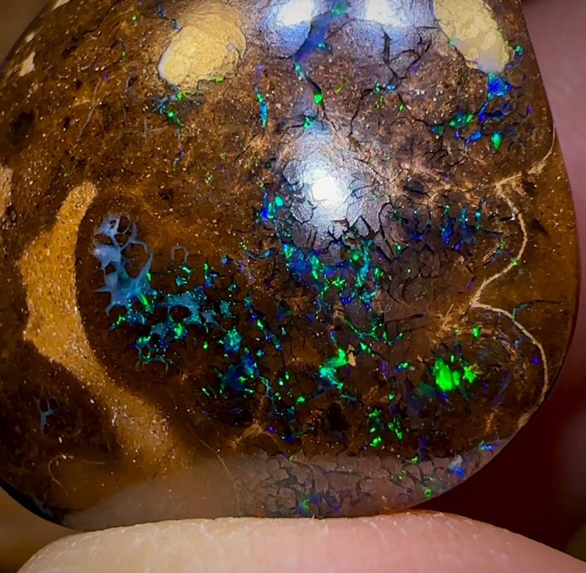 57.6cts - Bubble Band Opal Specimen from Winton