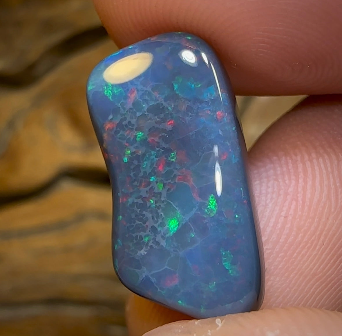 9.1cts - Australian Red on Black Multicolour Opal from Lightning Ridge - Opal Whisperers
