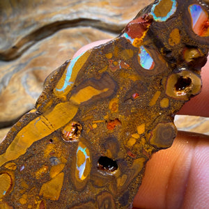 HDW 285.9cts - Yowah Nut Conglomerate Rough Piece. Australian Boulder Opal