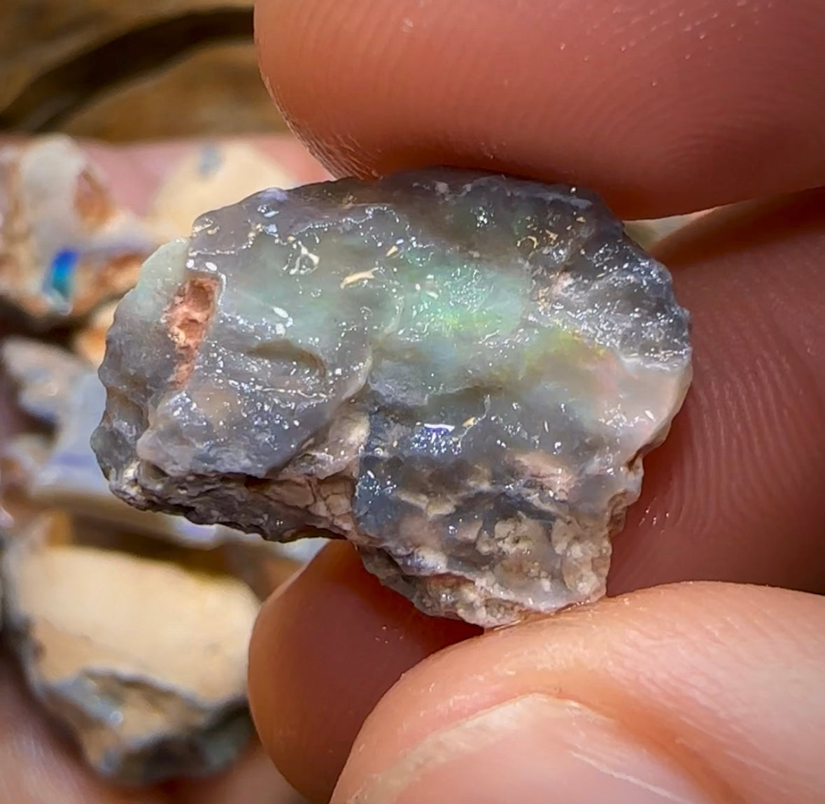 The 300Cts - Lightning Ridge Potch And Colour Parcels. Bulk Listing - Opal Whisperers