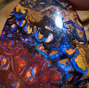 48.6cts - Tribal Queensland Boulder Opal from Yowah