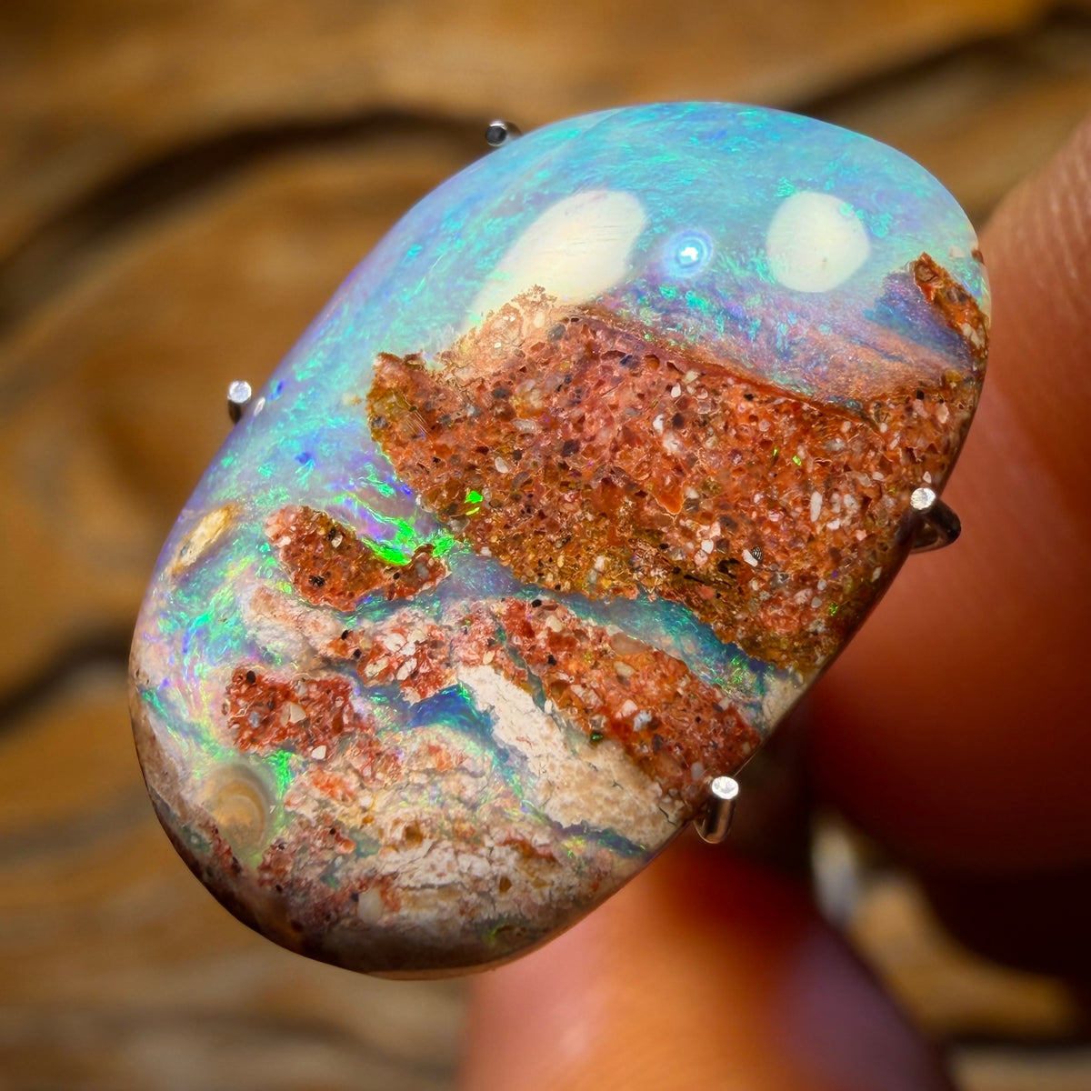 🔨 AUCTION 🔨 💎 High Roller Banger Auction 💎 5.5cts - Solid Australian Boulder Pipe Opal