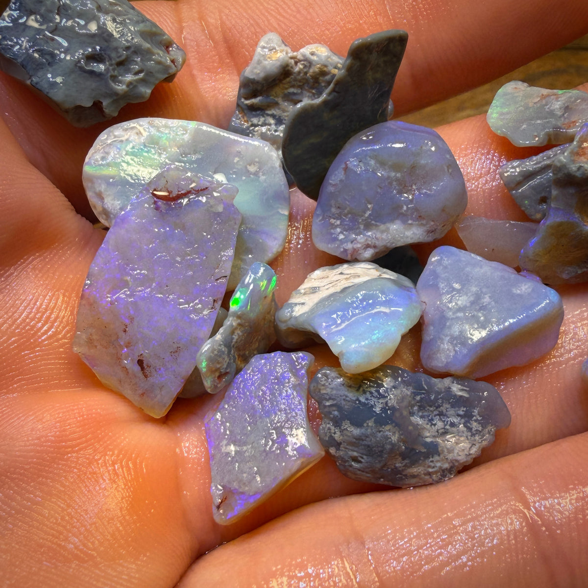 81.9cts - 21x Lightning Ridge Opal Rough Parcel