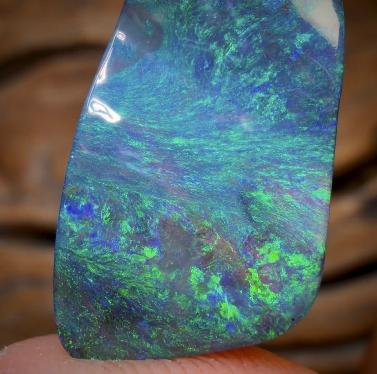 15.4cts - BANGER GEM Queensland Boulder Seam Opal