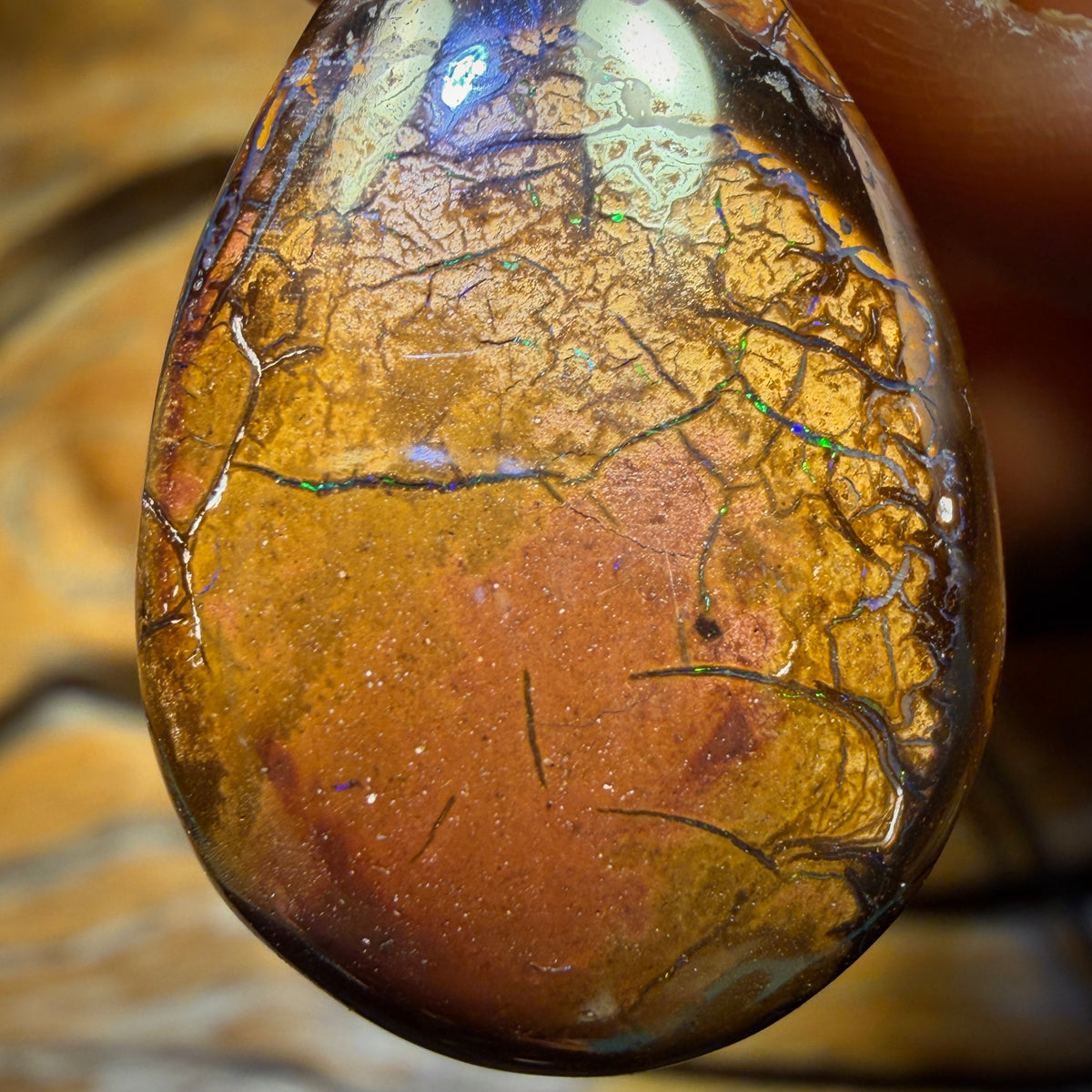 29 x 19mm - Drilled Tribal Queensland Boulder Opal Necklace