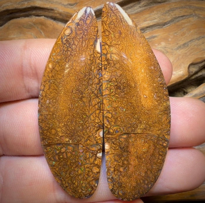102,7 cts - Paire d'opales boulder tribales beiges du Queensland