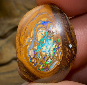 15.2cts - Yowah Nut Opal. Aquatic Pattern Partially formed Kernel Center .