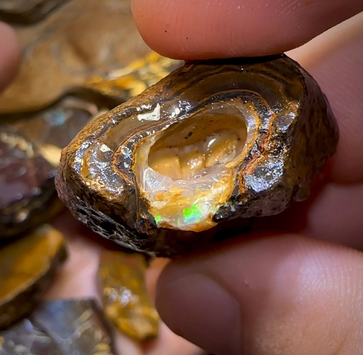 317.9g - 15x Yowah Nut Rough Pieces. Tribal and Crystal Centres Australian Opal - Opal Whisperers